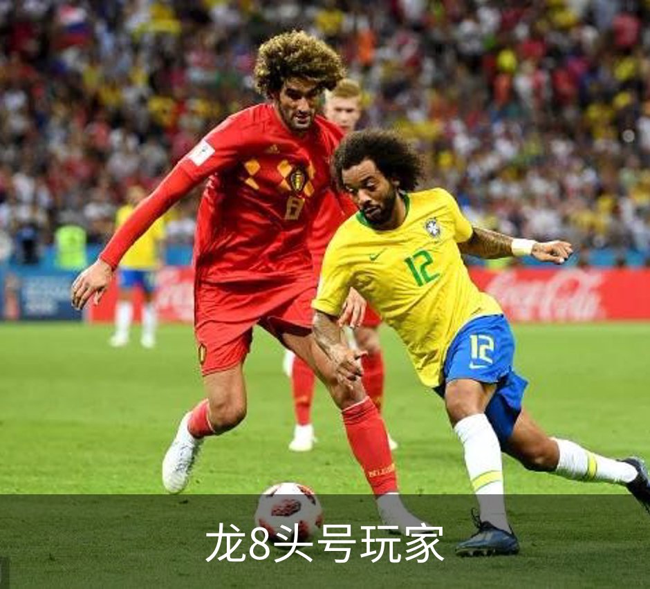 龙8头号玩家介绍